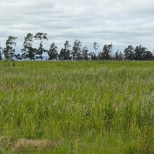 3 Fracciones de Campo en Capilla de Cella - imagen 3