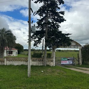 Remate de Campo en Palermo, Uruguay - imagen 2
