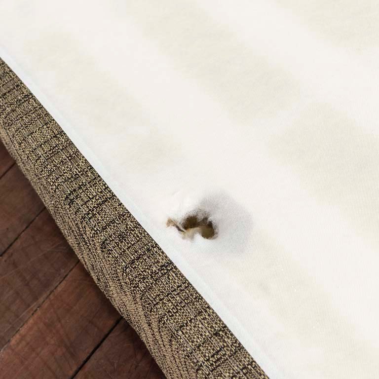 Item 2113897 - Image 1