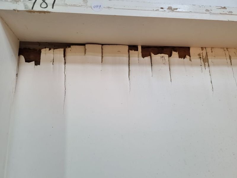 Item 862779 - Image 4