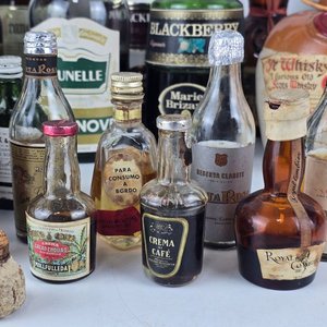 Lote de Botellas de Bebidas Alcohólicas Variadas: Empezadas y Vacías - imagen 3