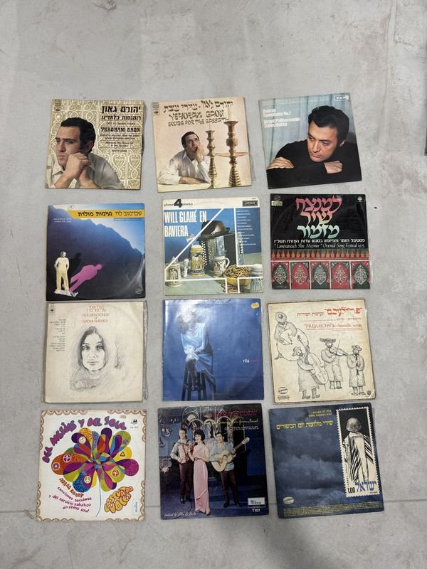 Lote de 12 Discos de Vinilo de Colección - Variedad de Artistas y Estilos