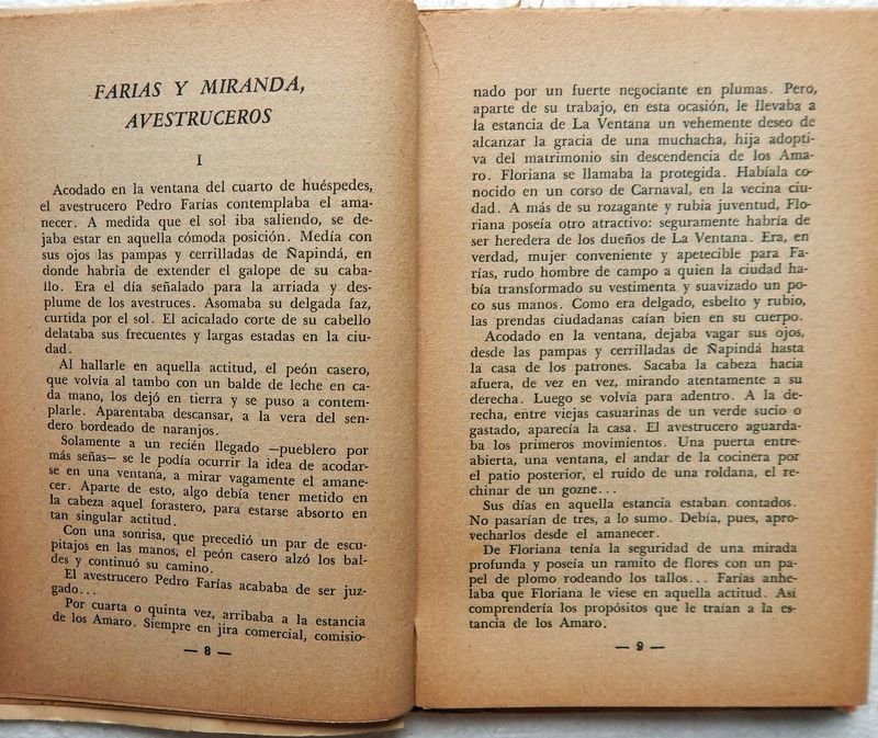 Libro de Cuentos y Novelas: La Trampa Del Pajonal - imagen 6