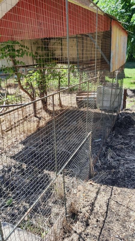 Item 869948 - Image 0