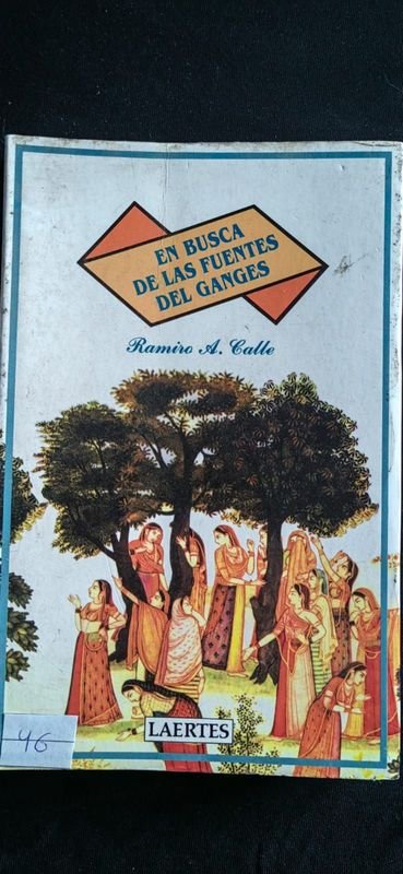 En Busca de las Fuentes del Ganges por Ramiro A. Calle - Libro sobre India
