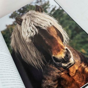 Libro "Caballos: Razas, Culturas, Tradiciones" Tapa Dura - imagen 2