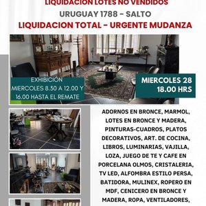 Lote anterior: Liquidación de Lotes No Vendidos: Remate Presencial y Virtual en Salto