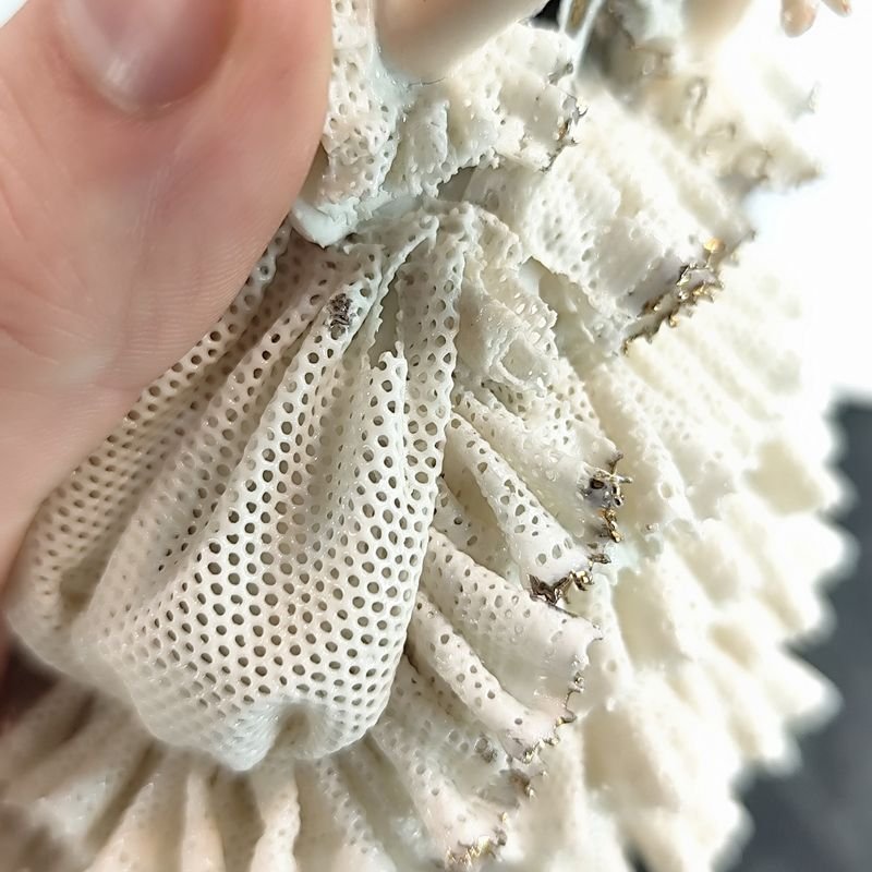 Item 868308 - Image 2