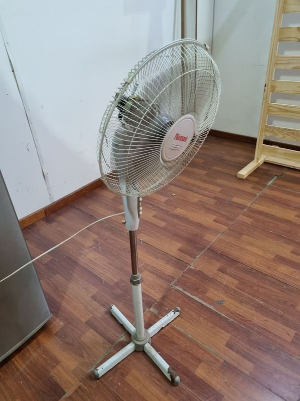 Item 843847 - Image 2