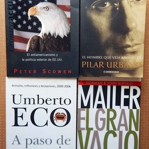 Lote siguiente: Lote de 4 Libros: El Hombre Que Veía Amanecer, El Libro Negro De América, A Paso De Cangrejo y El Gran Vacío