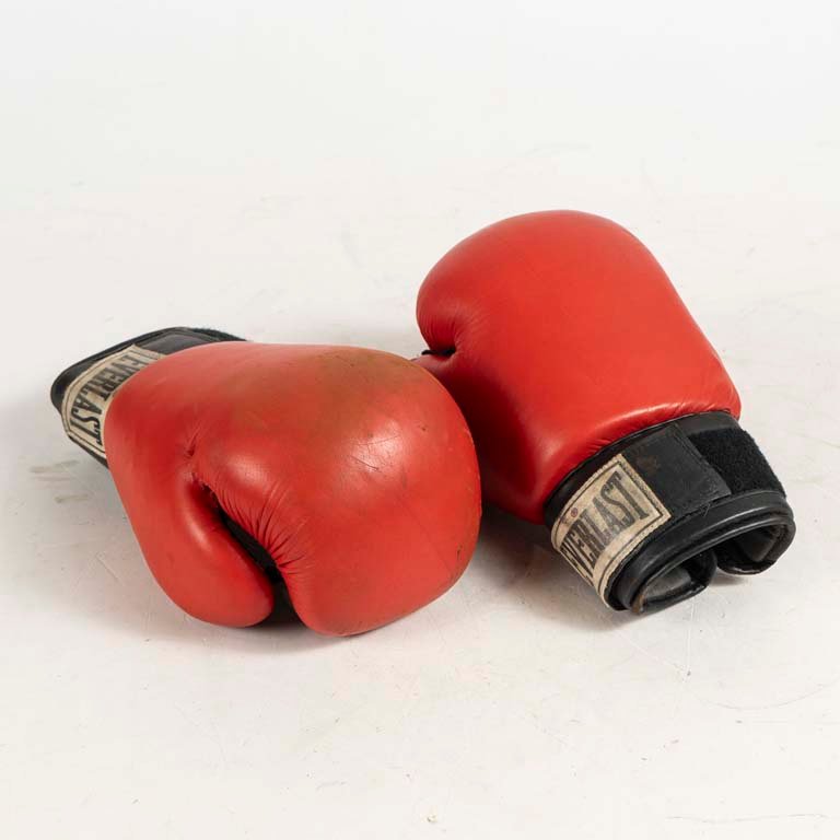 Lote anterior: Guantes de boxeo Everlast - Medidas: 26cm