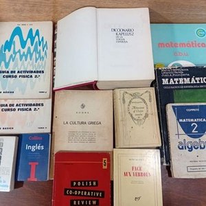 Lote de Libros de Estudio y Diccionarios en Varios Idiomas - imagen 6