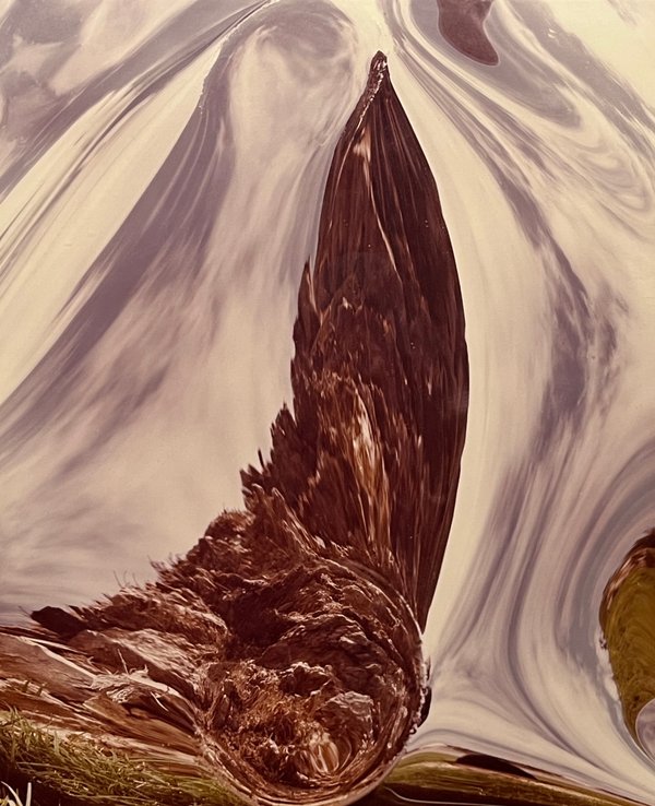 Fotocomposición "Expansion Ecologica XVIII" de Julio Testoni - 60x50 cm - imagen 1