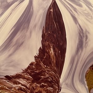 Fotocomposición "Expansion Ecologica XVIII" de Julio Testoni - 60x50 cm - imagen 1