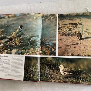 Enciclopedia de los Animales - Volumen Cuarto - imagen 4