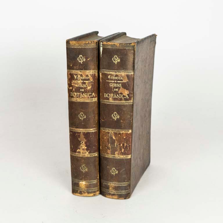 Item 2111612 - Image 0