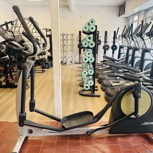 Lote siguiente: Elíptica Life Fitness Profesional