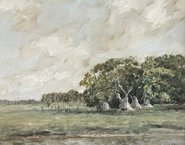 Oleo "Isla de los Ombues" de Osvaldo Paz - 33 x 41 cm