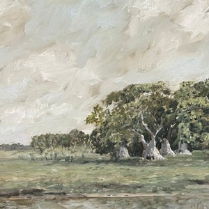 Oleo "Isla de los Ombues" de Osvaldo Paz - 33 x 41 cm - imagen 1