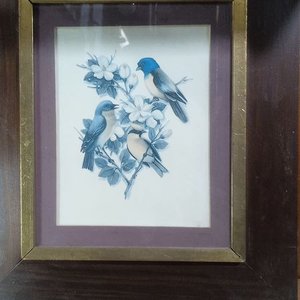 Lote siguiente: lámina de estilo vintage que presenta tres pájaros azules (que asemejan a azulejos o sialias)