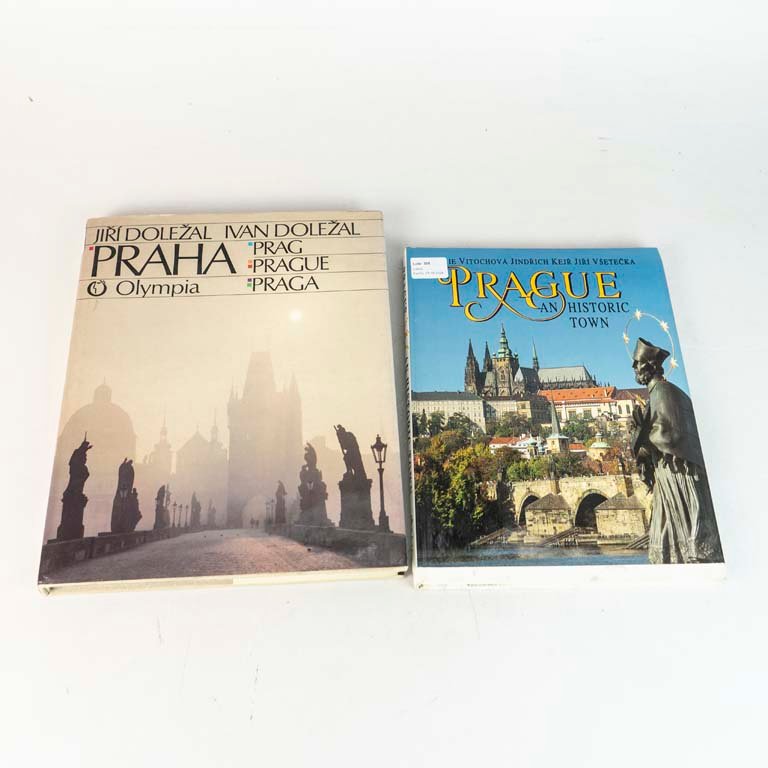 Dos Libros de Tapa Dura sobre Praga con Sobrecubierta