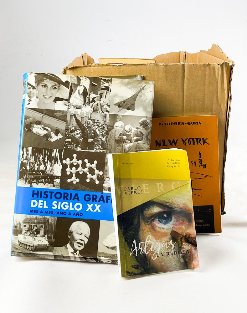Lote anterior: Lote de libros antiguos y raros