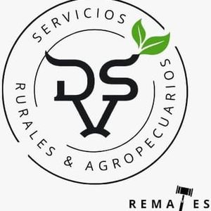 Logo de dvs-negocios-rurales