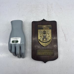 Lote anterior: Plaqueta Conmemorativa "Día del Funcionario de Institutos Penales"