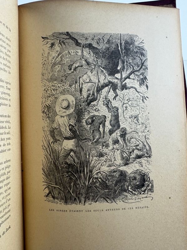 Libro clásico de J.R. WYSS, 'Le Robinson Suisse', edición de 1922 - imagen 5