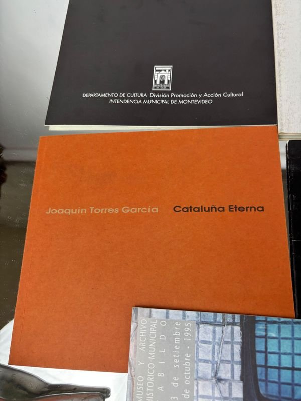 Colección de libros sobre arte y artistas uruguayos contemporáneos - imagen 11