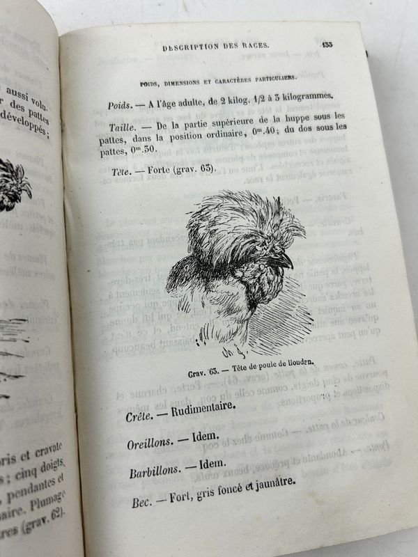 Cuatro libros de agricultura y aves en español - imagen 10