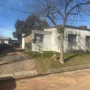 Casa a Remate Presencial en Terreno Amplio con Perro - imagen 3