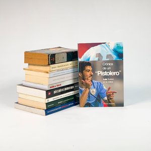 Lote siguiente: Lote de 11 Novelas de Autores Diversos: Nelson Fernández, Luis Suárez, Fernando Amado, Pablo Cohen y más
