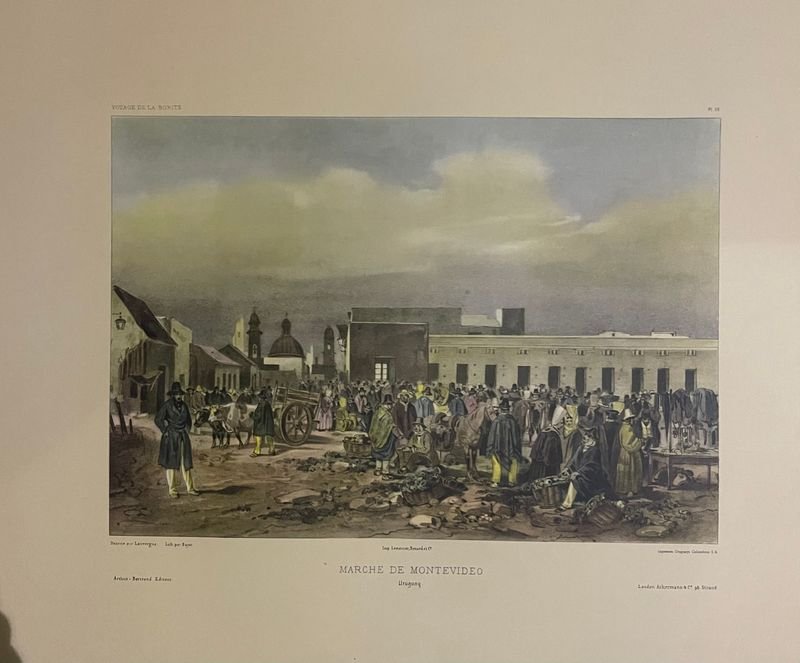 Lámina Antigua "Marché de Montevideo" - Uruguay - Voyage de La Bonite