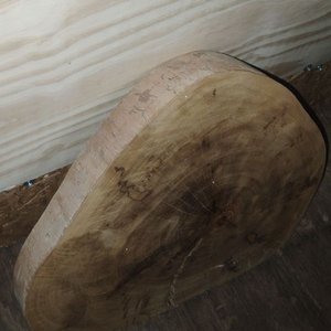 Tapa de Tronco de Madera para Mesa o Superficie - imagen 3