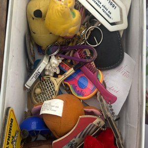 Lote anterior: Lote de Llaveros y Objetos Coleccionables Varios