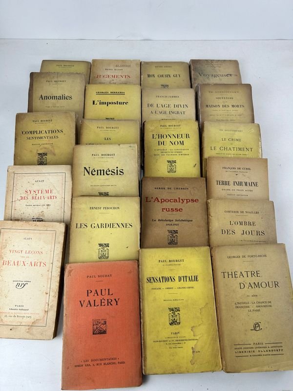 Colección de libros franceses vintage - imagen 1
