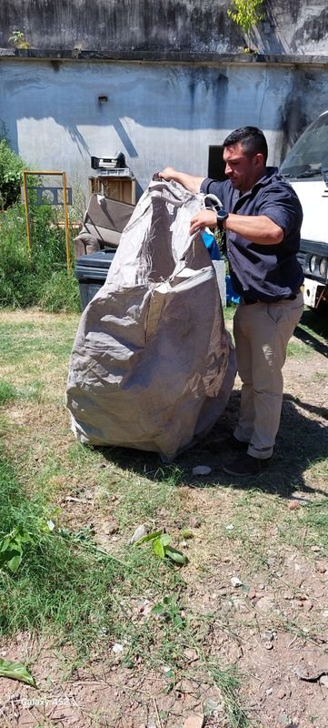 Item 848183 - Image 5