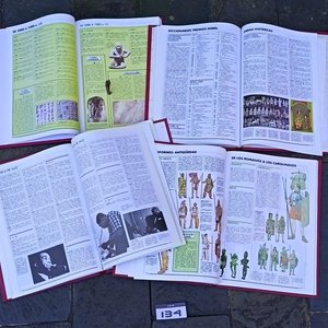 Enciclopedia Ilustrada Larousse Tomos 1 al 12 El País - imagen 5