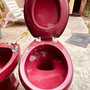 Inodoro y Bidet Color Bordo - imagen 3