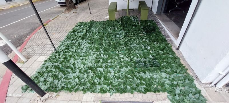 Malla de PVC simil enredadera con hojas nuevas - imagen 2
