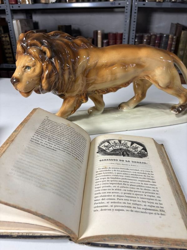 Libros de Zoología del Siglo XIX y Estatua de León - imagen 5