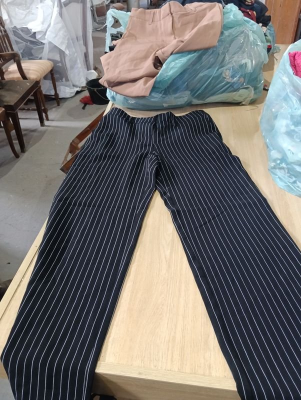 Pantalones de Vestir Rayados para Mujer Nuevos