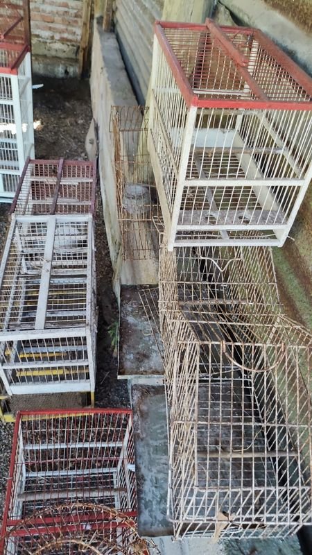 Item 869947 - Image 5