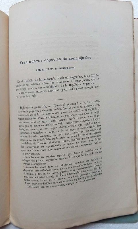 Revista Anales Del Ateneo Del Uruguay, 1883 - imagen 7