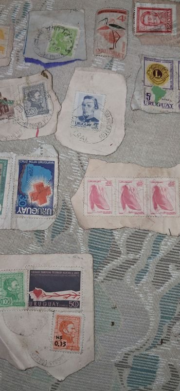 Item 880833 - Image 11