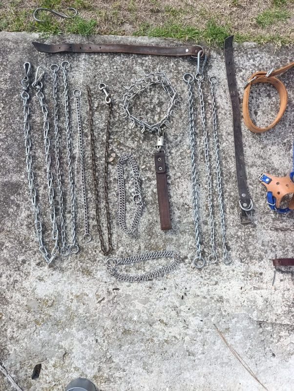 Collares y Cadenas para Perros - imagen 2