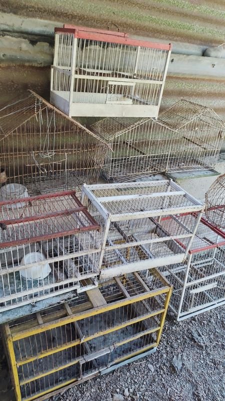 Item 869947 - Image 4