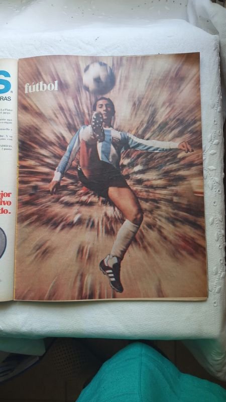 Item 867844 - Image 2