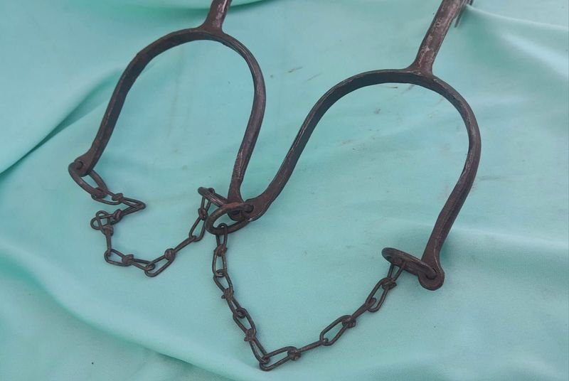 Item 853203 - Image 1